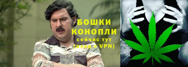 прущие крисы Белокуриха