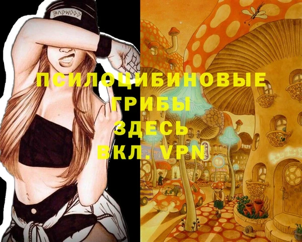 кокаин колумбия Богородицк