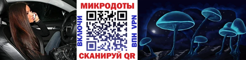 Псилоцибиновые грибы Cubensis  Коркино 